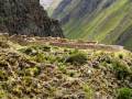 Willka Raqay - Inca Trail to Machu Picchu
