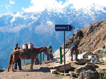 Choquequirao Trek - Day 1