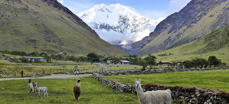 Soraypampa base camp with Salkantay mountain in the background — Salkantay Trek, Cusco, Peru