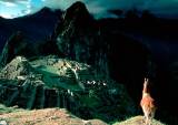 Machu Picchu Full Day Tour