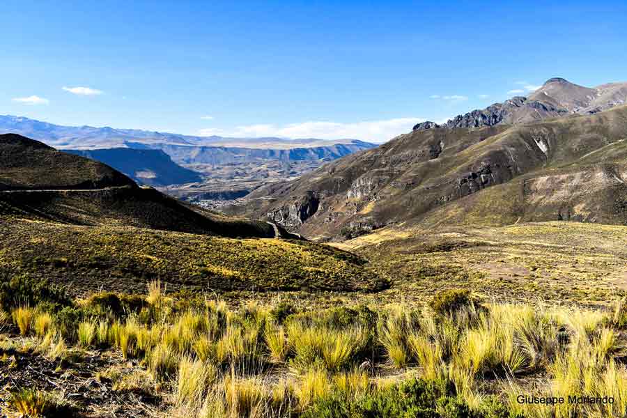 cusco puno circuit machu picchu living tour 18 days