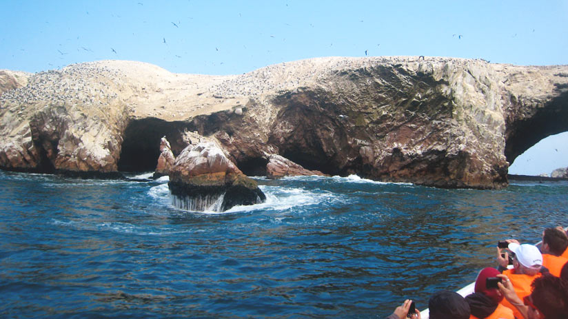 paracas peru 12 days circuit tour